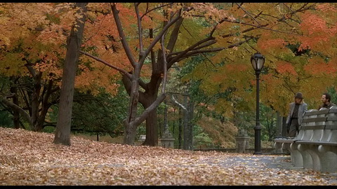 Screenshot [14] zum Film Harry und Sally