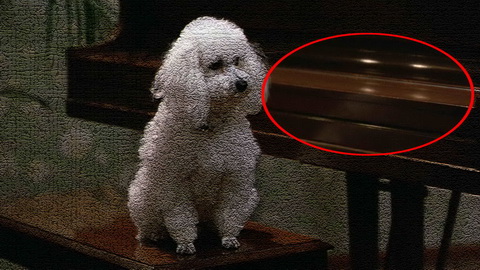 Fehlerbild [05] zum Film 'Prinz aus Zamunda, Der'