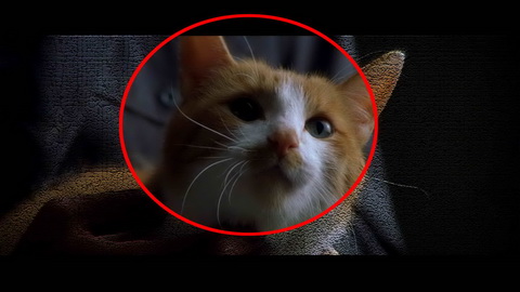 Fehlerbild [09] zum Film 'Staatsfeind Nr. 1'