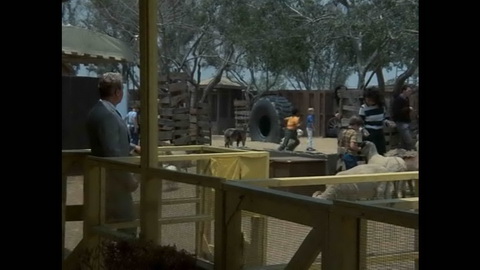 Screenshot [05] zum Film Columbo - Mord unter sechs Augen