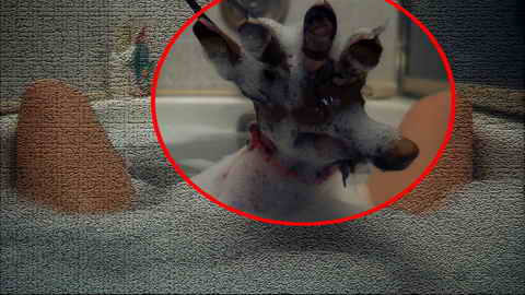 Fehlerbild [08] zum Film 'Nightmare on Elm-Street'