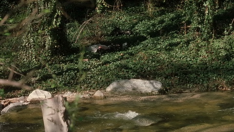 Screenshot [03] zum Film Mord nach Plan