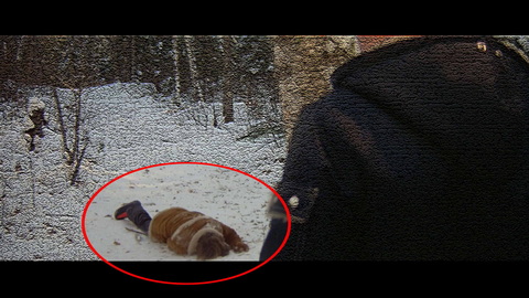 Fehlerbild [07] zum Film 'Omen II - Damien'