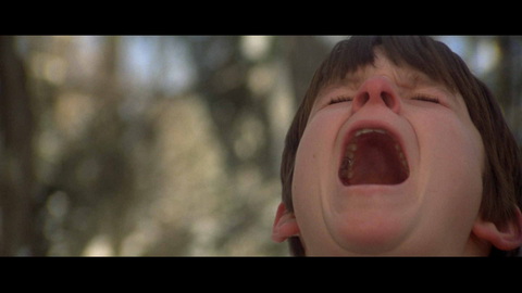 Fehlerbild [08] zum Film 'Omen II - Damien'