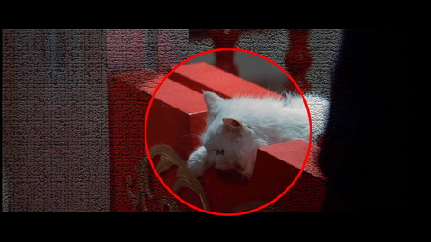 Fehlerbild [04] zum Film 'Mann mit der Todeskralle, Der'