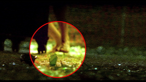 Fehlerbild [02] zum Film 'Saw'