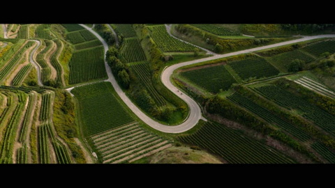 Screenshot [12] zum Film 25 km/h