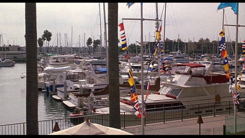 Screenshot [37] zum Film Zwilling kommt selten allein, Ein