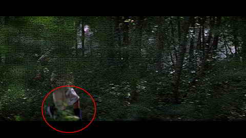 Fehlerbild [04] zum Film 'James Bond - Moonraker'