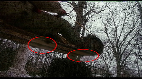 Fehlerbild [05] zum Film 'Kevin - Allein zu Haus'