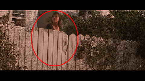 Fehlerbild [16] zum Film 'Falling Down - Ein ganz normaler Tag'
