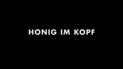 Titelbildschirm vom Film Honig im Kopf