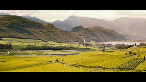 Screenshot [33] zum Film Honig im Kopf