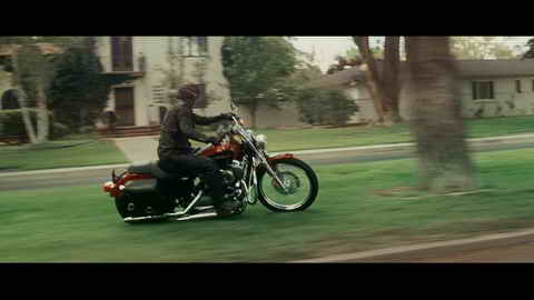 Screenshot [03] zum Film Born to Be Wild - Saumäßig unterwegs