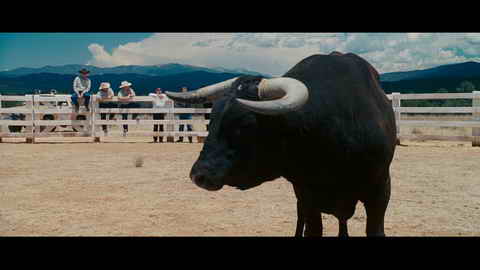Screenshot [17] zum Film Born to Be Wild - Saumäßig unterwegs