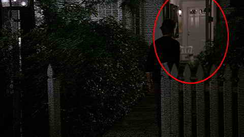 Fehlerbild [12] zum Film 'Verhängnisvolle Affäre, Eine'