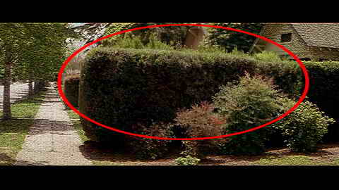 Fehlerbild [05] zum Film 'Halloween - Die Nacht des Grauens'