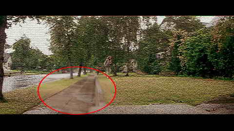 Fehlerbild [06] zum Film 'Halloween - Die Nacht des Grauens'